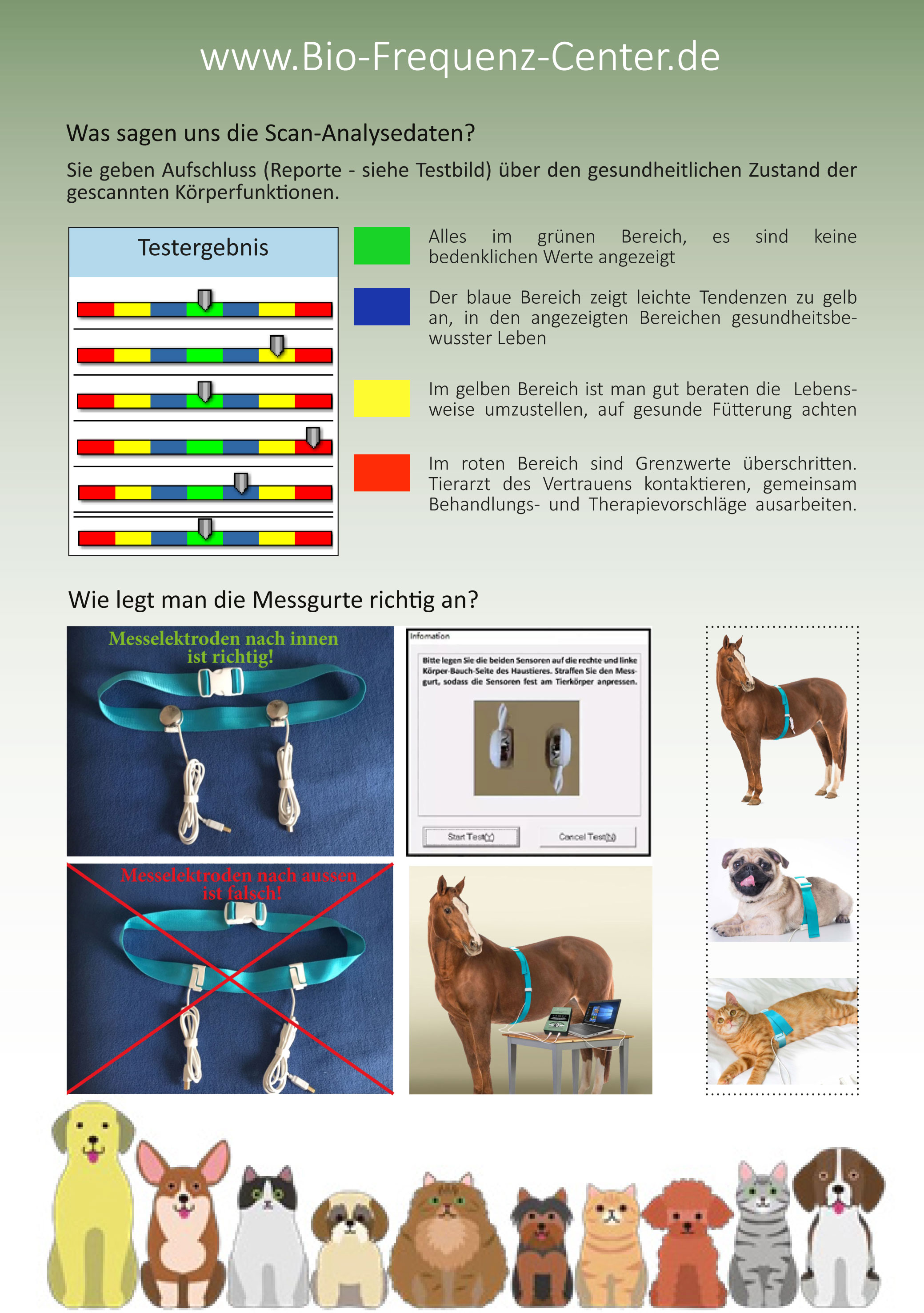 Animalium Scan - BQAS Bio Quantum Analyse System Animalium Scan - BQAS Bio Quantum Analyse System